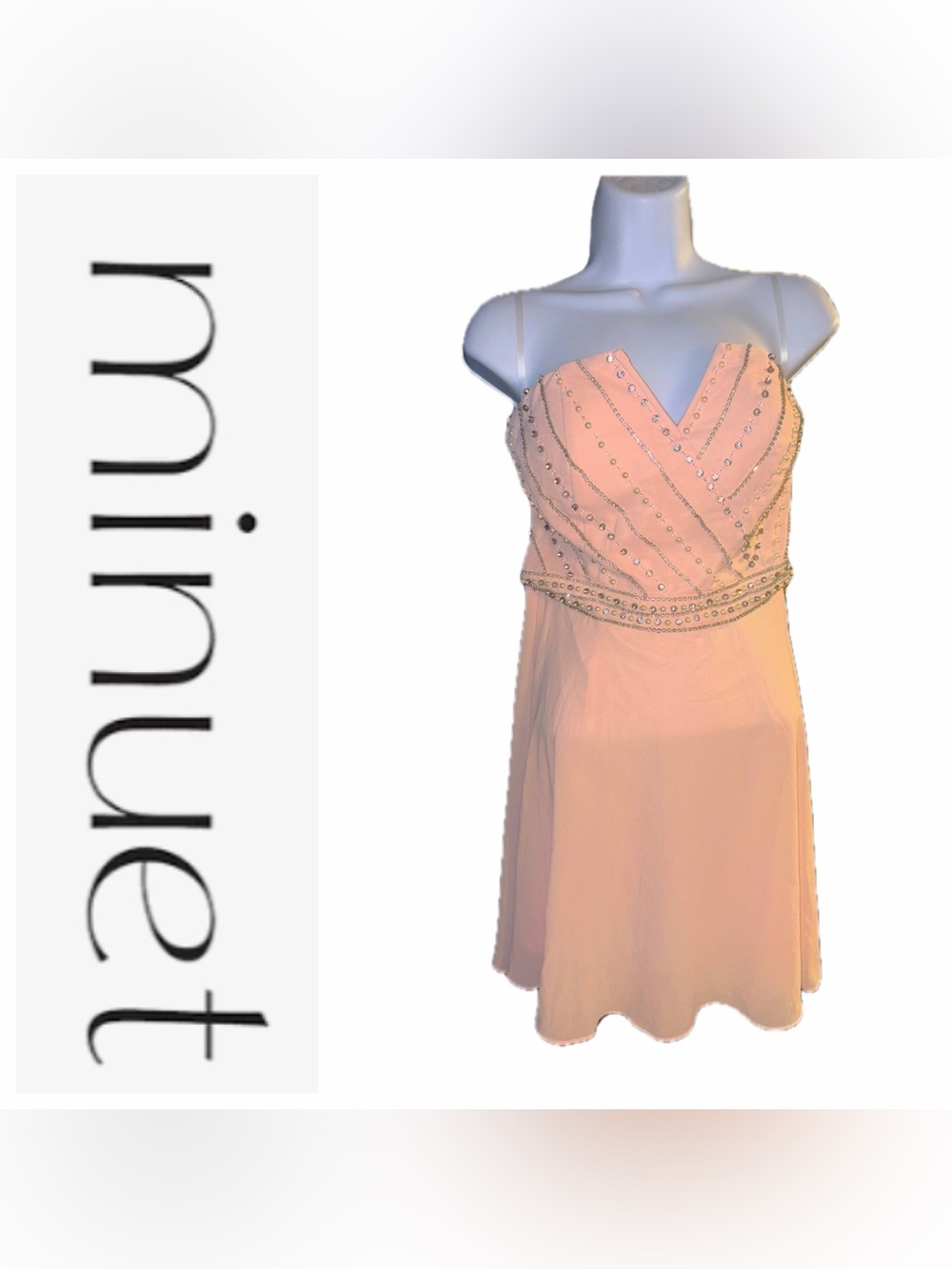 Pink Minuet Formal Dress ✨